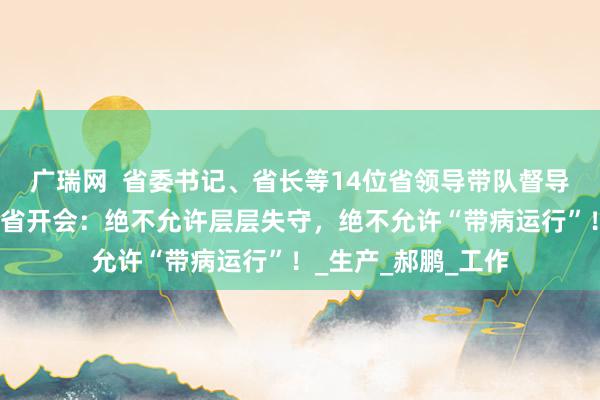 广瑞网  省委书记、省长等14位省领导带队督导发现突出问题，全省开会：绝不允许层层失守，绝不允许“带病运行”！_生产_郝鹏_工作