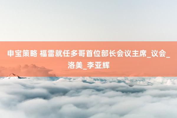 申宝策略 福雷就任多哥首位部长会议主席_议会_洛美_李亚辉