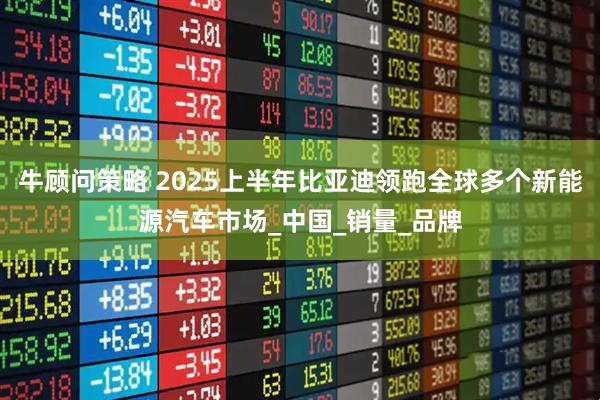 牛顾问策略 2025上半年比亚迪领跑全球多个新能源汽车市场_中国_销量_品牌