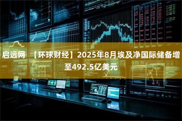 启远网  【环球财经】2025年8月埃及净国际储备增至492.5亿美元